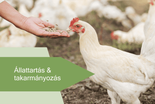 🐔 Állattartás & takarmányozás