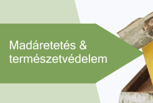 🐦 Madáretetés & természetvédelem