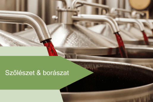 🍇 Szőlészet & borászat