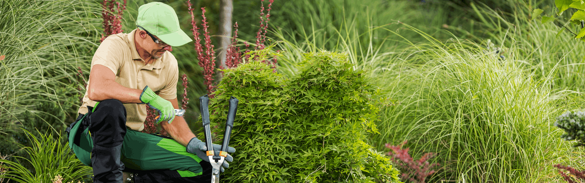 Megbízható Forrás